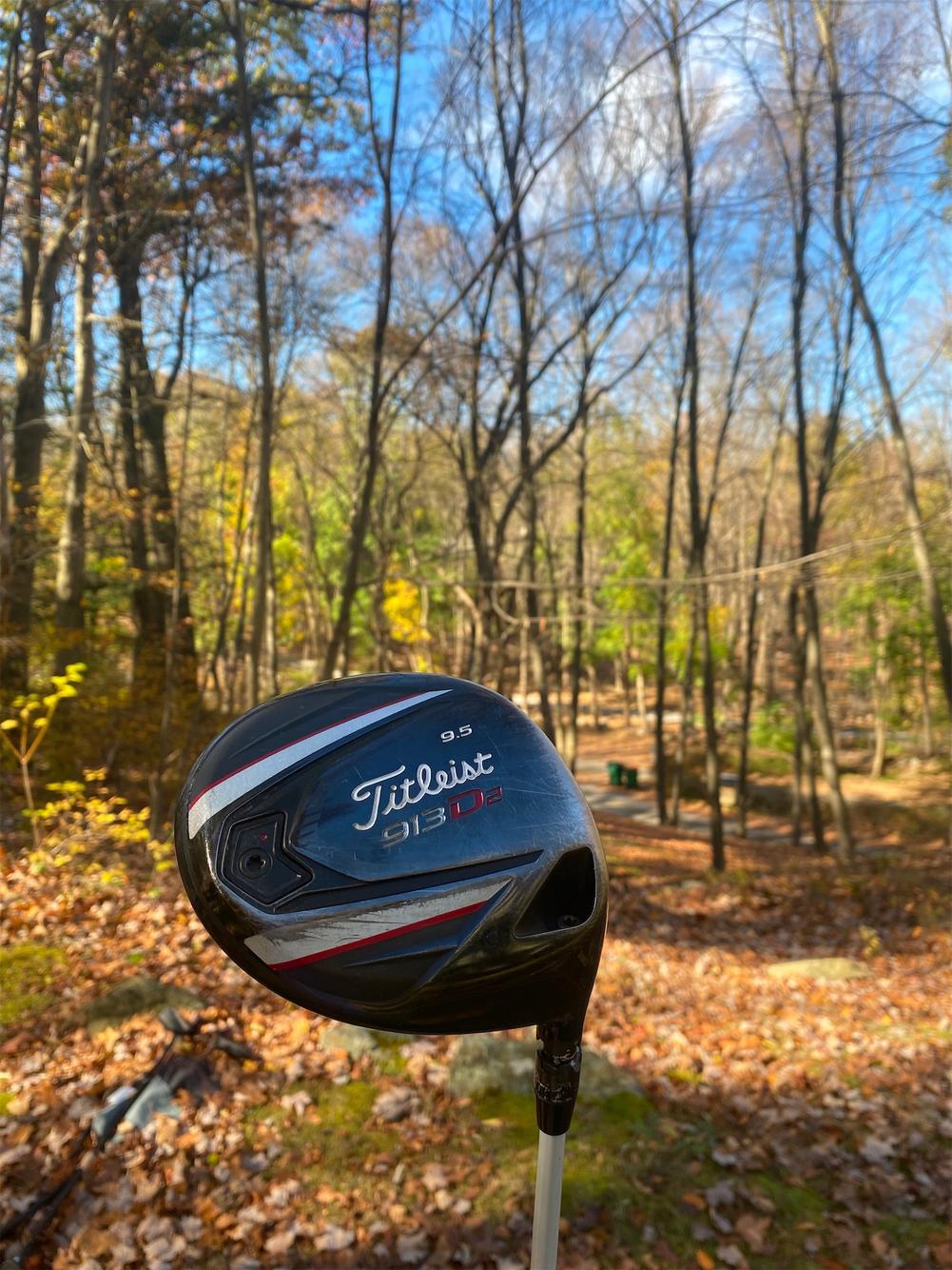 913D2 Extra Stiff (350 DOLLAR SHAFT)