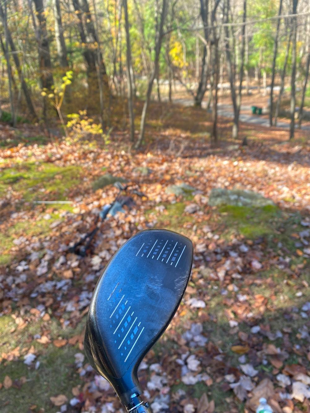 913D2 Extra Stiff (350 DOLLAR SHAFT)