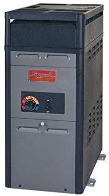 Raypak 105,000 BTU Swimming Pool and Spa Heater - Propane