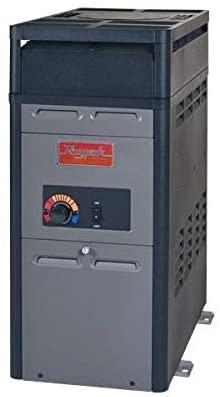 Raypak 105,000 BTU Swimming Pool and Spa Heater - Propane