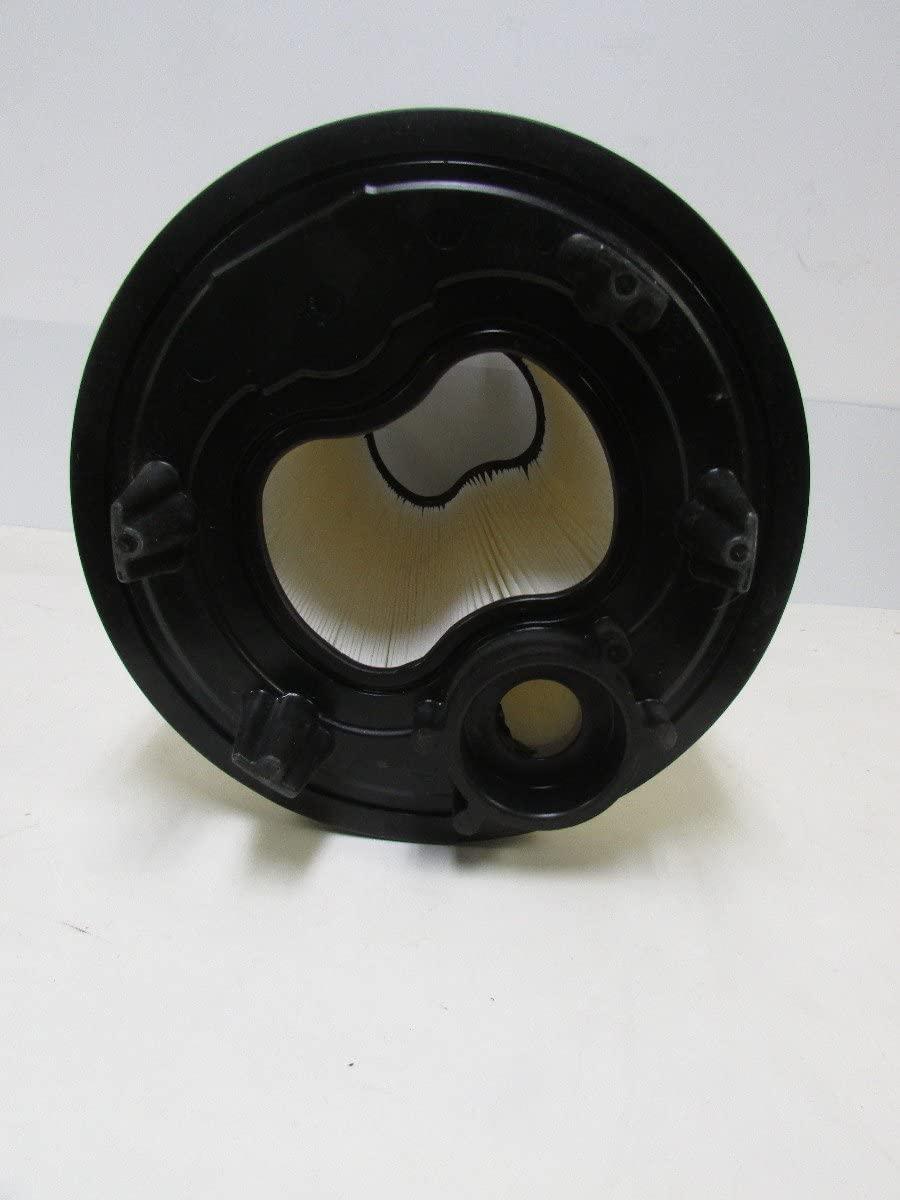 Pentair 27002-0150S Filter Module Replacement Sta-Rite Pool and Spa D.E. Filter