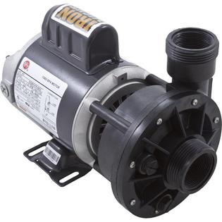 3410020-1E 0.125HP 230V Single Speed Spa Pump
