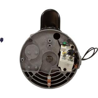Motor, TriStar SP3200X, 1.5hp, 1-Spd, 115v/230, Max Rate